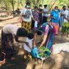 ‘Haritha Deyak’ National Home Gardening Program